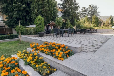 Bar&Dinner Mladost